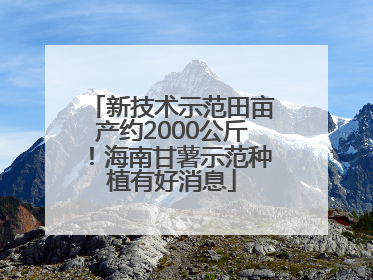 新技术示范田亩产约2000公斤！海南甘薯示范种植有好消息
