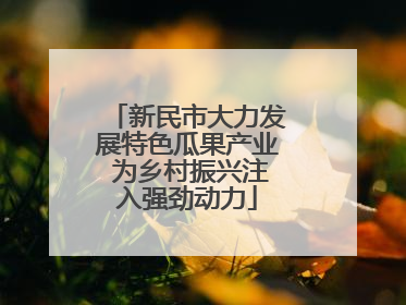 新民市大力发展特色瓜果产业 为乡村振兴注入强劲动力