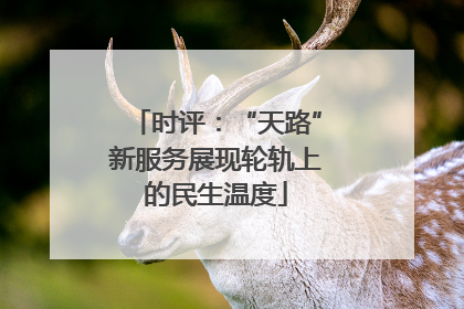 时评：“天路”新服务展现轮轨上的民生温度