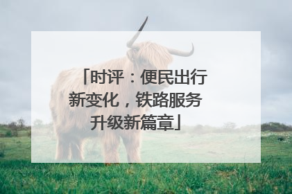 时评：便民出行新变化，铁路服务升级新篇章