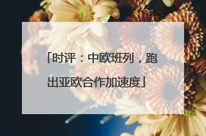 时评：中欧班列，跑出亚欧合作加速度