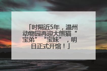 时隔近5年，温州动物园再迎大熊猫“宝弟”“宝妹”，明日正式开馆！
