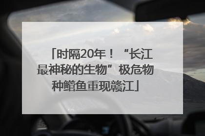 时隔20年！“长江最神秘的生物”极危物种鳤鱼重现赣江