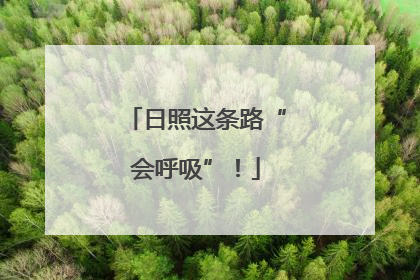日照这条路“会呼吸”！