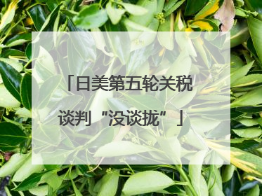 日美第五轮关税谈判“没谈拢”