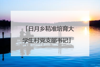 日月乡精准培育大学生村党支部书记