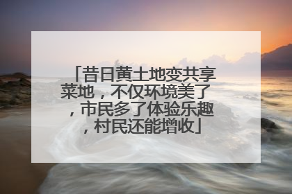昔日黄土地变共享菜地，不仅环境美了，市民多了体验乐趣，村民还能增收