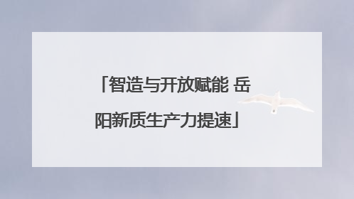 智造与开放赋能 岳阳新质生产力提速