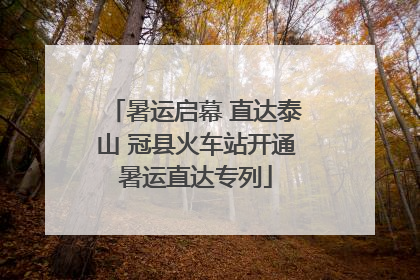 暑运启幕 直达泰山 冠县火车站开通暑运直达专列