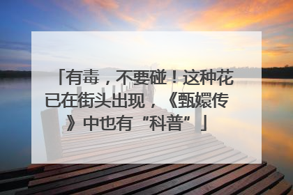 有毒，不要碰！这种花已在街头出现，《甄嬛传》中也有“科普”