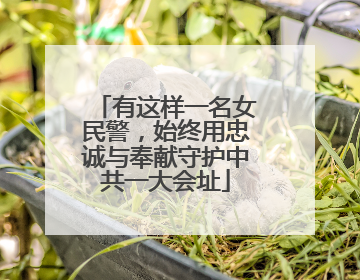 有这样一名女民警，始终用忠诚与奉献守护中共一大会址