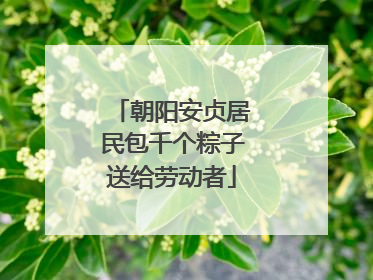 朝阳安贞居民包千个粽子送给劳动者