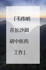 毛伟明在长沙调研中医药工作