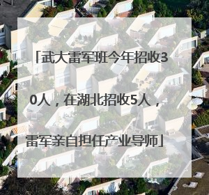 武大雷军班今年招收30人，在湖北招收5人，雷军亲自担任产业导师