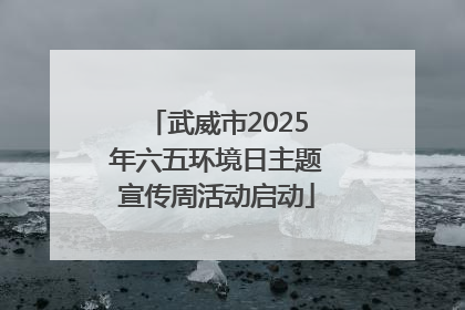 武威市2025年六五环境日主题宣传周活动启动