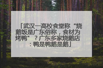 武汉一高校食堂称“烧鹅饭是广东俗称，食材为烤鸭”？广东多家烧鹅店：鸭是鸭鹅是鹅