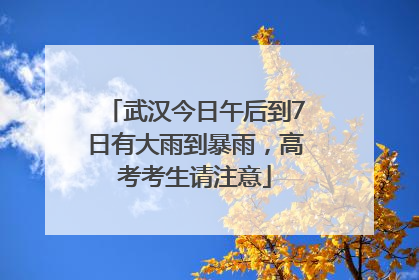 武汉今日午后到7日有大雨到暴雨，高考考生请注意