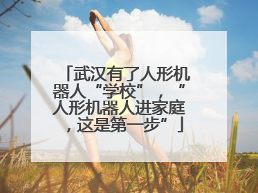 武汉有了人形机器人“学校”，“人形机器人进家庭，这是第一步”
