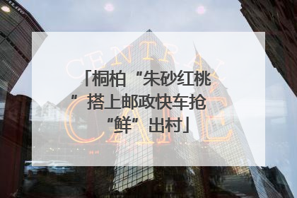 桐柏“朱砂红桃”搭上邮政快车抢“鲜”出村
