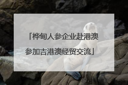 桦甸人参企业赴港澳参加吉港澳经贸交流