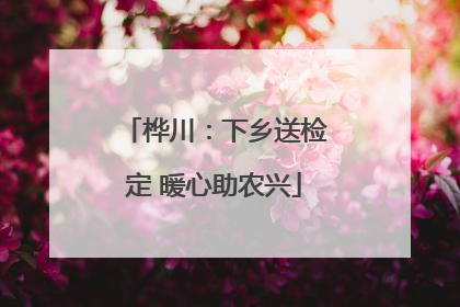 桦川：下乡送检定 暖心助农兴