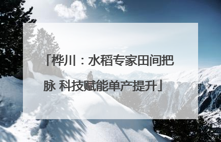 桦川：水稻专家田间把脉 科技赋能单产提升