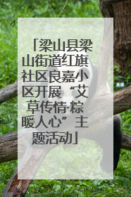 梁山县梁山街道红旗社区良嘉小区开展“艾草传情·粽暖人心”主题活动