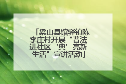 梁山县馆驿镇陈李庄村开展“普法进社区‘典’亮新生活”宣讲活动