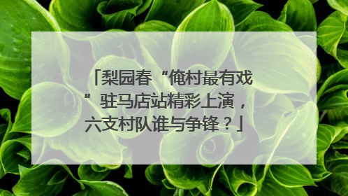 梨园春“俺村最有戏”驻马店站精彩上演，六支村队谁与争锋？