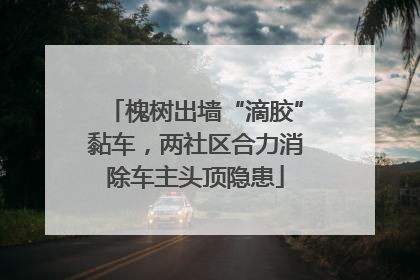 槐树出墙“滴胶”黏车，两社区合力消除车主头顶隐患