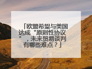 欧盟希望与美国达成“原则性协议”，未来贸易谈判有哪些难点？