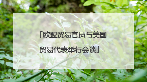 欧盟贸易官员与美国贸易代表举行会谈