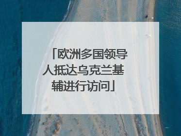 欧洲多国领导人抵达乌克兰基辅进行访问