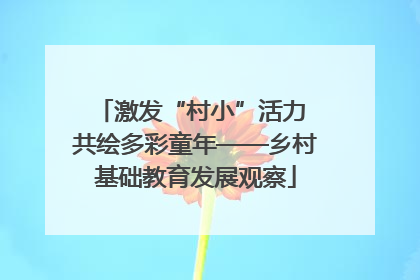 激发“村小”活力 共绘多彩童年——乡村基础教育发展观察