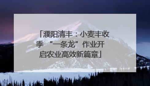 濮阳清丰：小麦丰收季 “一条龙”作业开启农业高效新篇章