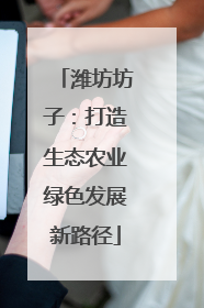 潍坊坊子：打造生态农业绿色发展新路径