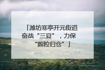 潍坊寒亭开元街道奋战“三夏”，力保“颗粒归仓”