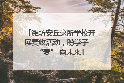 潍坊安丘这所学校开展麦收活动，盼学子 “麦” 向未来