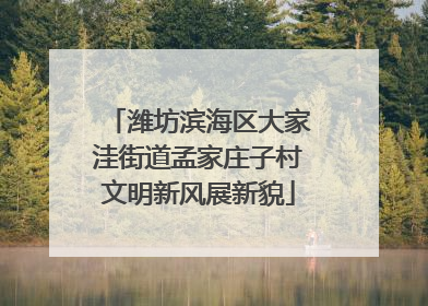潍坊滨海区大家洼街道孟家庄子村文明新风展新貌