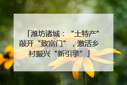 潍坊诸城：“土特产”敲开“致富门”，激活乡村振兴“新引擎”