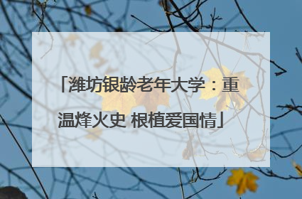 潍坊银龄老年大学：重温烽火史 根植爱国情