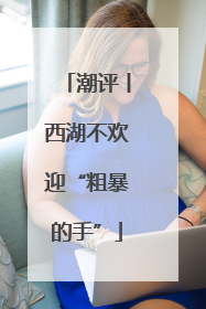 潮评丨西湖不欢迎“粗暴的手”