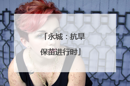 永城：抗旱保苗进行时