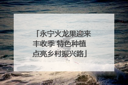 永宁火龙果迎来丰收季 特色种植点亮乡村振兴路