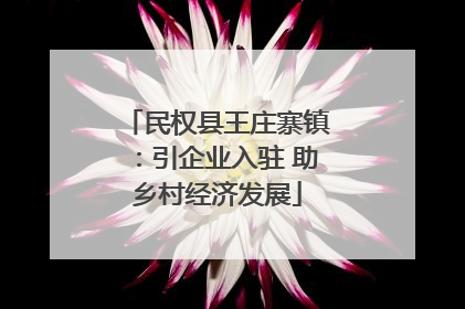 民权县王庄寨镇：引企业入驻 助乡村经济发展