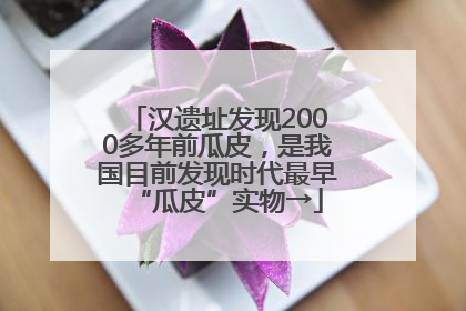 汉遗址发现2000多年前瓜皮，是我国目前发现时代最早“瓜皮”实物→
