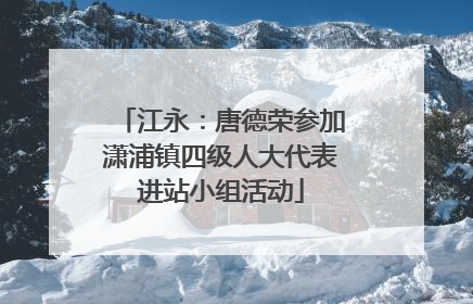江永：唐德荣参加潇浦镇四级人大代表进站小组活动
