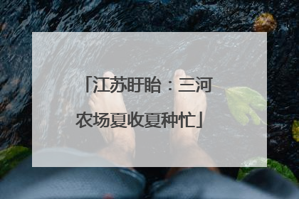 江苏盱眙：三河农场夏收夏种忙