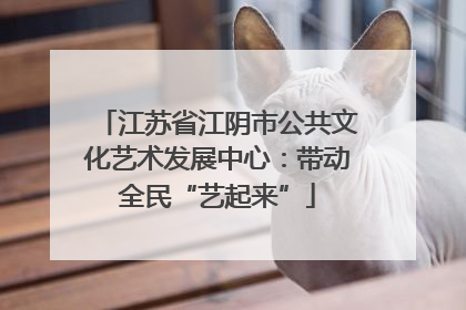 江苏省江阴市公共文化艺术发展中心：带动全民“艺起来”