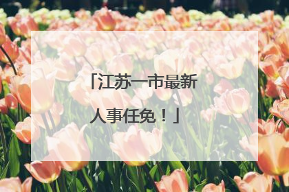 江苏一市最新人事任免！